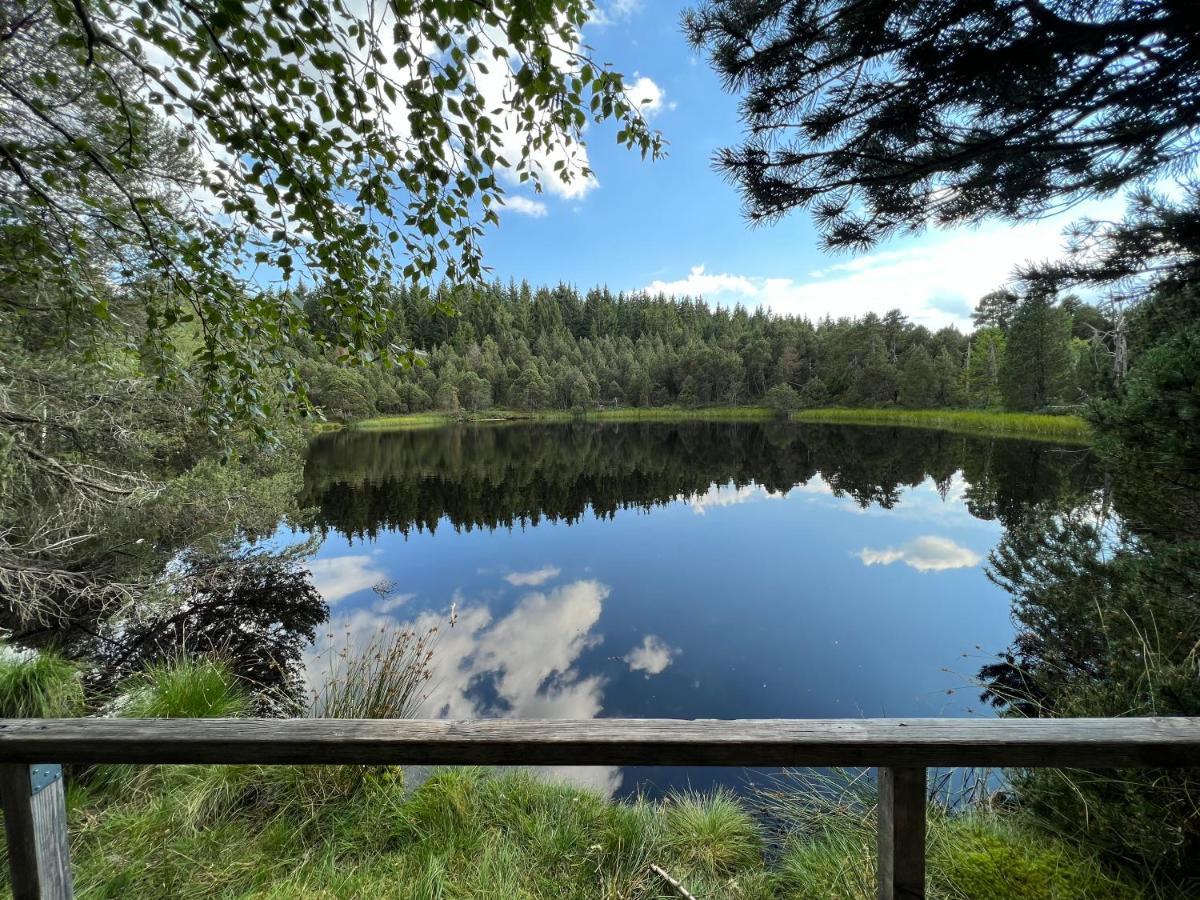 Apartment Annis Panoramablick Pool Sauna Tennis Schonach im Schwarzwald Exterior photo