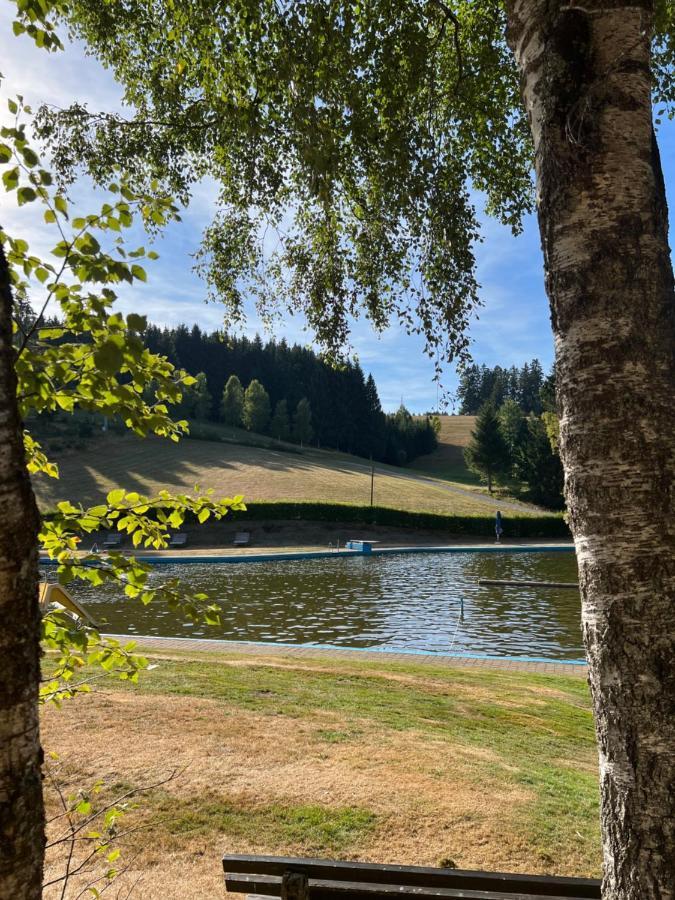 Apartment Annis Panoramablick Pool Sauna Tennis Schonach im Schwarzwald Exterior photo